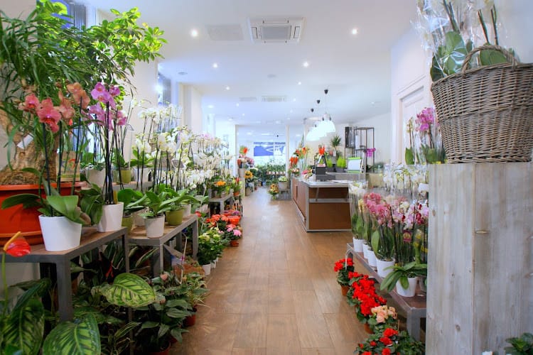 Elyfleur, Fleuriste Paris 17 ème