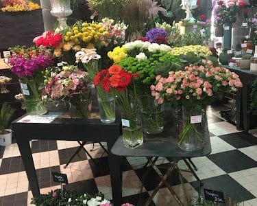 Eperdument Fleurs