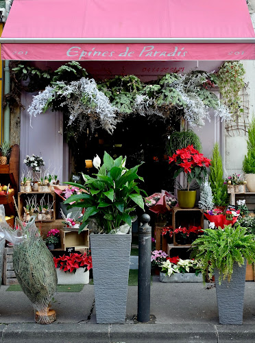Épines De Paradis - Fleuriste Marseille