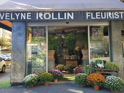 Evelyne Rollin
