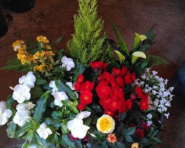 Fée florale