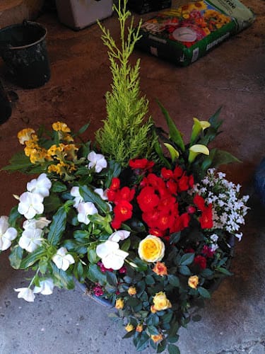 Fée florale