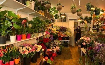 Fleur à bar