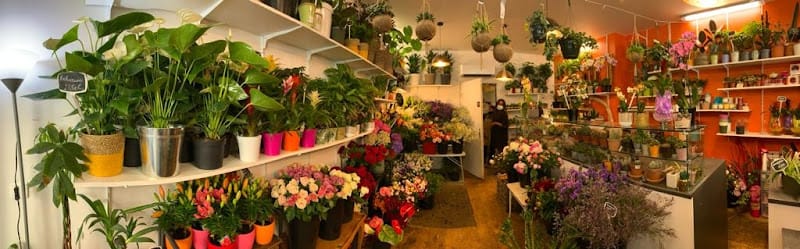 Fleur à bar