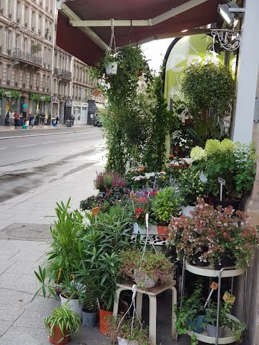 FLEUR DE LA FAYETTE