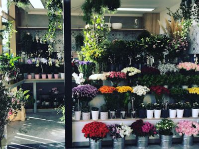 Fleur par nature by Benjamin JEAN HALLES PLAZA