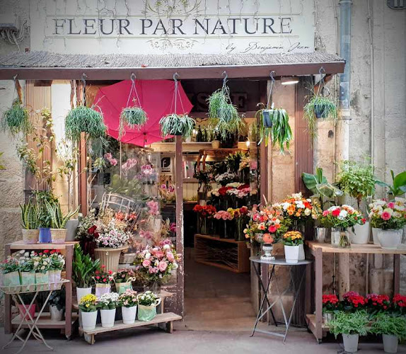 fleur par nature by benjamin jean