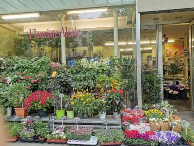 Fleuriste Alesia