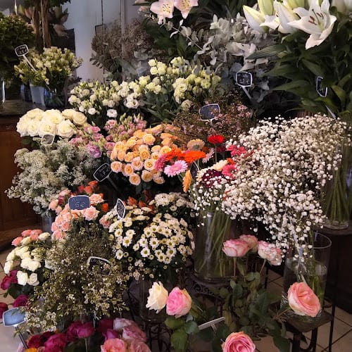 Fleuriste ALM Fleurs