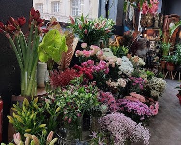 Fleuriste Le Dahlia Noir