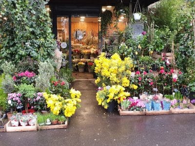 Fleurs de France