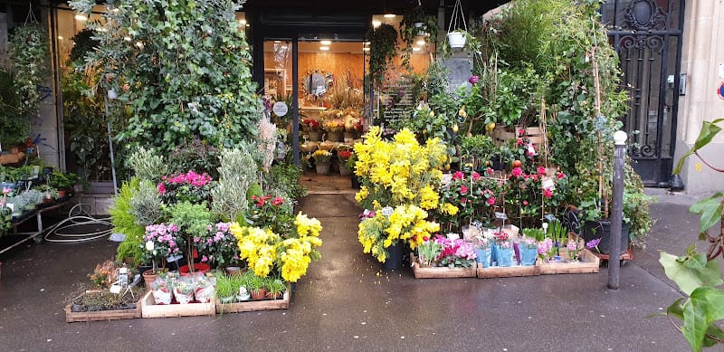 Fleurs de France