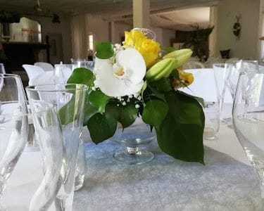 Fleurs de thé... rêves