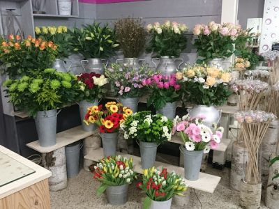 Fleurs d'Ici et d'Ailleurs...