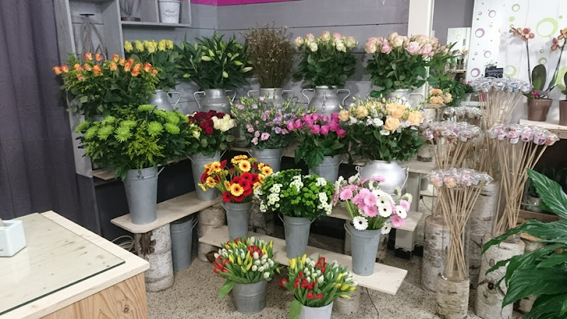 Fleurs d'Ici et d'Ailleurs...