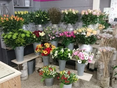 Fleurs d'Ici et d'Ailleurs...