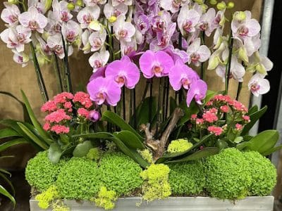 Fleurs Saint Lazare Paris