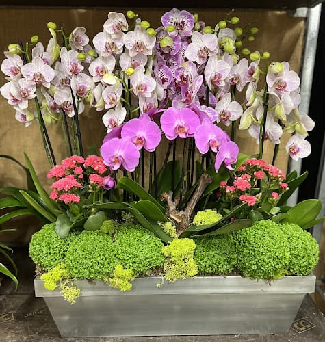 Fleurs Saint Lazare Paris
