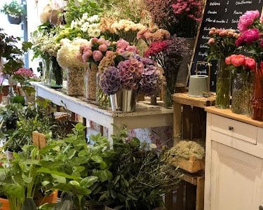 Fleurs Sauvages