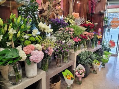 G.D Fleurs