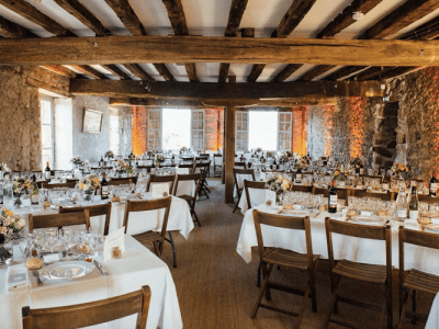 Au milieu des fougères