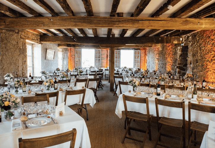 Au milieu des fougères