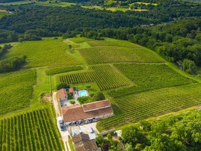 Domaine de Saint Amand