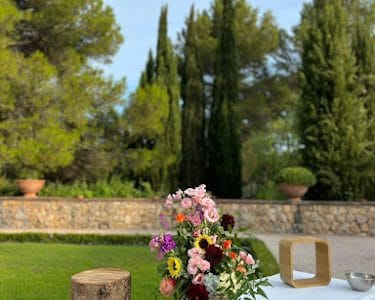 Château Font du Broc - Vignoble dans le Var