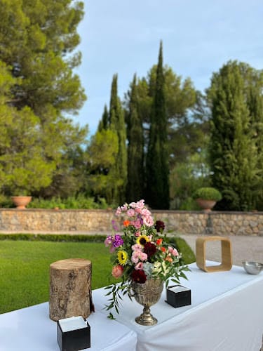 Château Font du Broc - Vignoble dans le Var
