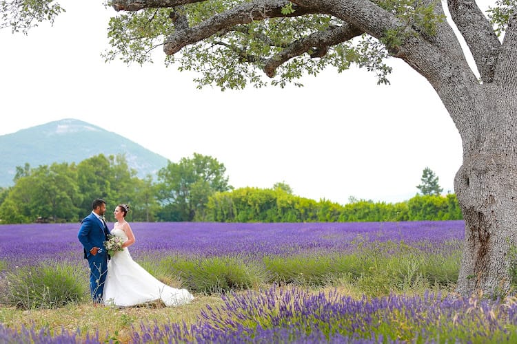 Domaine de Puyharas