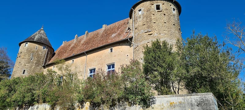 Château de Manonville