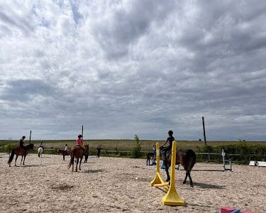 Ferme du soleil