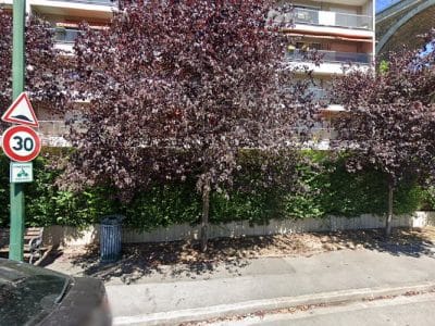 Manoir De L'ile Aux Loups