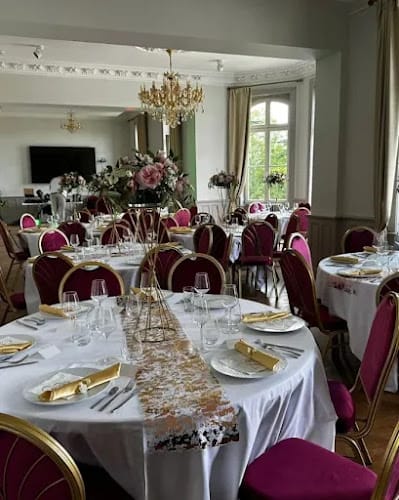 Château de Saint Saturnin sur Loire (Château d'Arts)