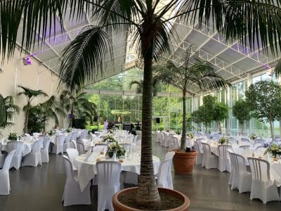 La Palmeraie de La Tour