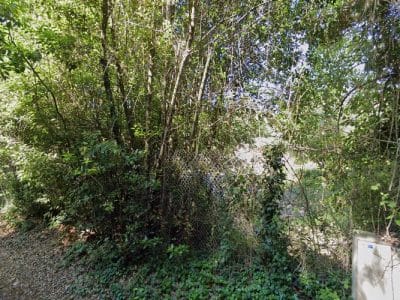 La clairière du château