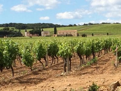 Château de la Haute Cassagne