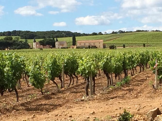 Château de la Haute Cassagne