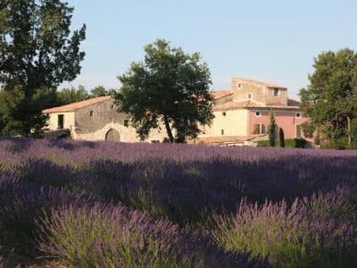 Domaine de la barbeirasse