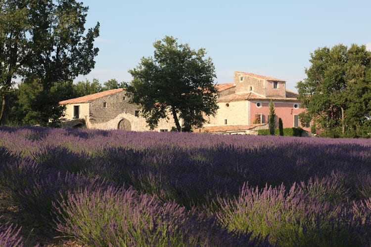 Domaine de la barbeirasse