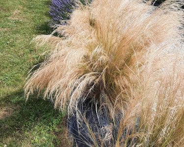 Le Relais des Longs Champs