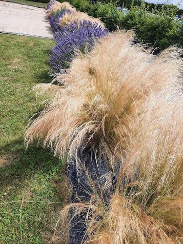 Le Relais des Longs Champs