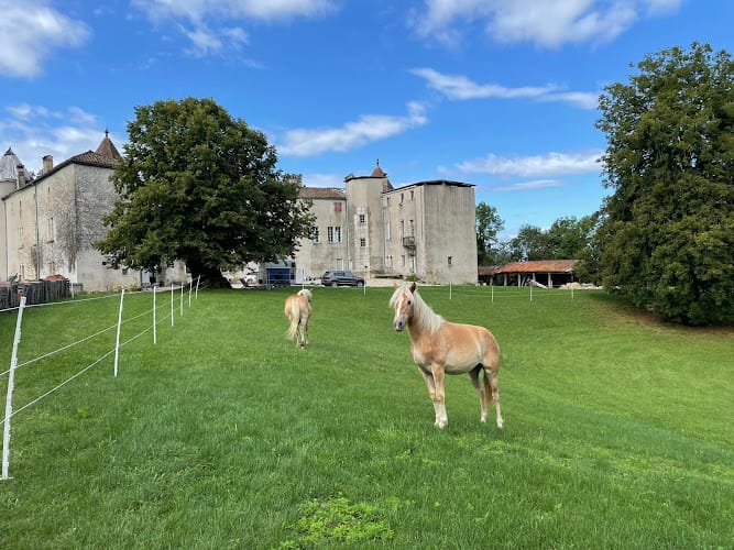 Château de Chenavel
