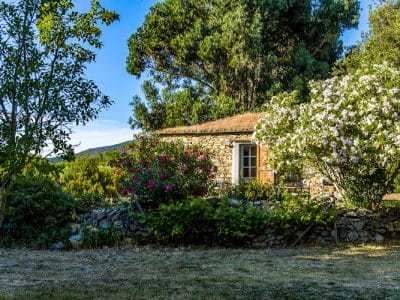 Les jardins de Foata