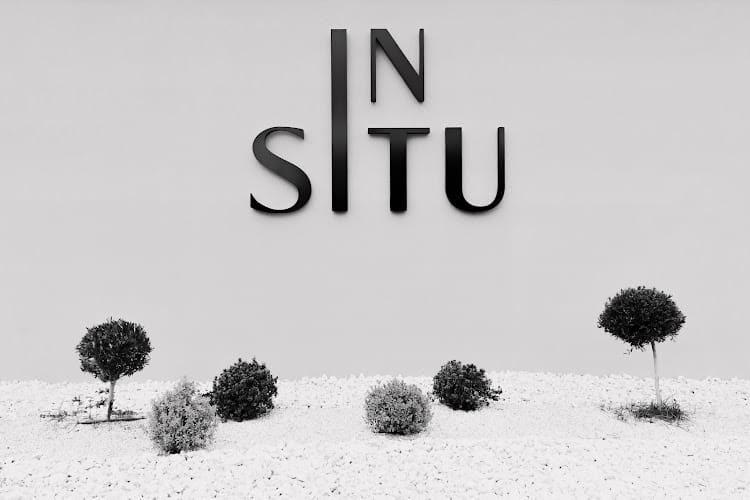InSitu