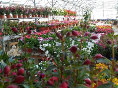 JARDINERIE La Ferme Florale