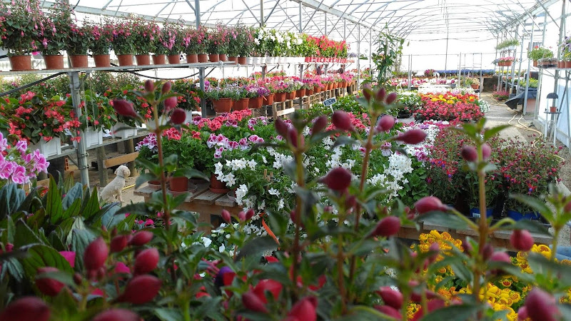 JARDINERIE La Ferme Florale