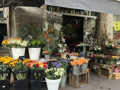 Jean Fleuriste Montpellier