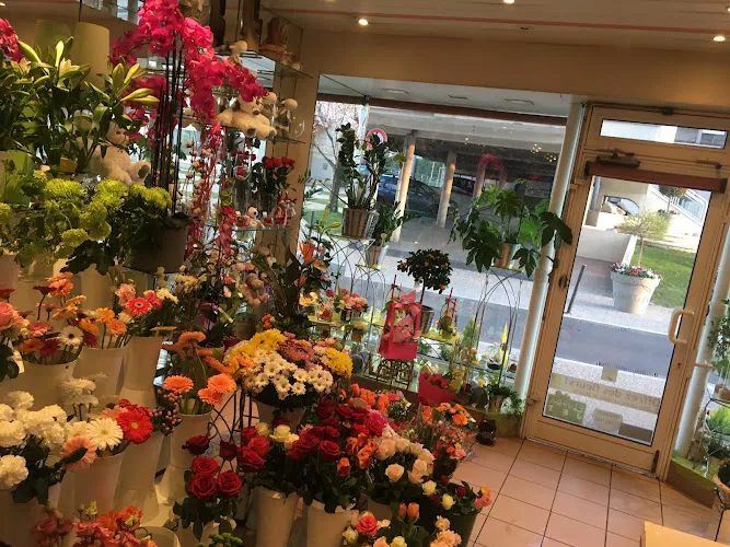 JOUBERT Fleurs