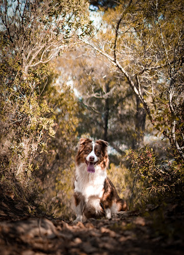 Julie Franch Guerra Photographie